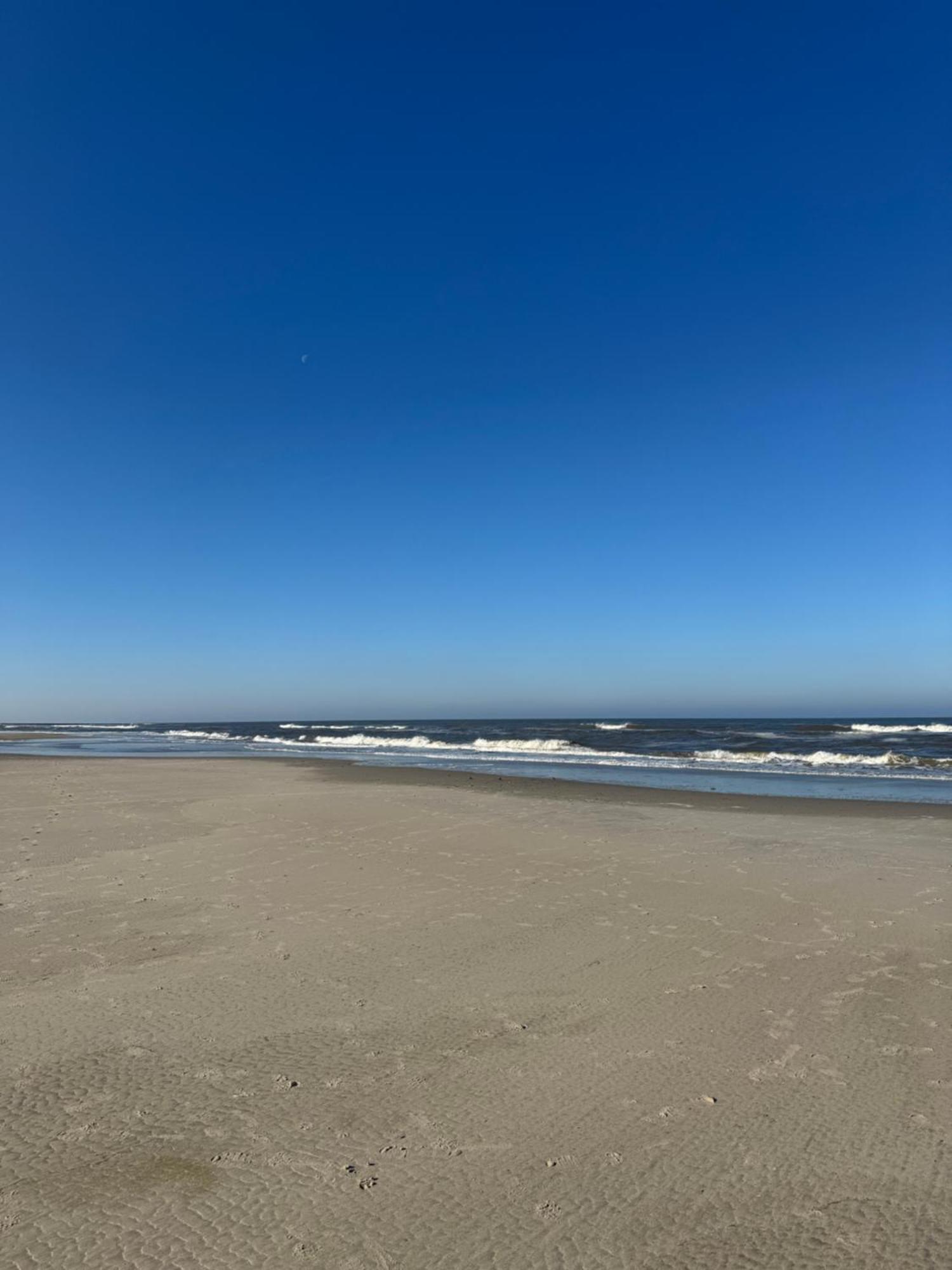Dünenrose am Nordstrand Norderney Eksteriør billede